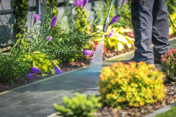 Best Sidewalk and Walkway Cleaning  in Lake Vla, IL
