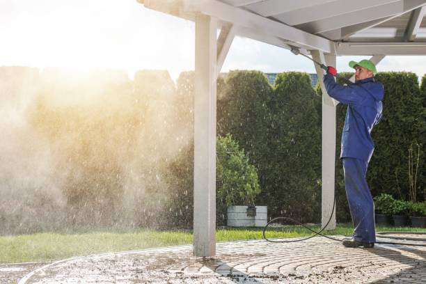 Pre-Holiday Cleaning in Lake Villa, IL