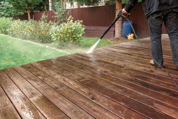 Best Animal Enclosure Cleaning  in Lake Vla, IL