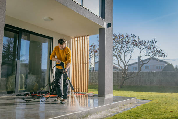 Best Gutter Cleaning  in Lake Vla, IL