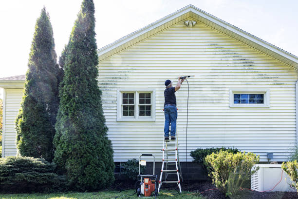 Best Driveway Pressure Washing  in Lake Vla, IL