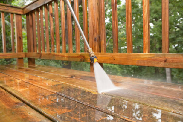 Best Dumpster Area Cleaning  in Lake Vla, IL